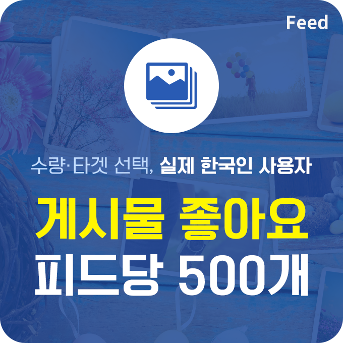 한국인 실제 게시물 좋아요 - 피드당 500개 | 데일리SNS
